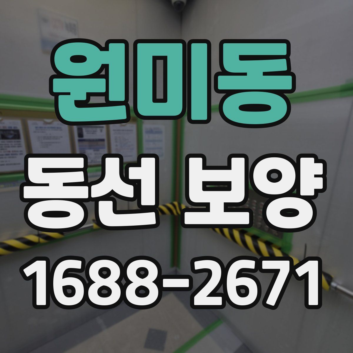 원미동 동선 보양
