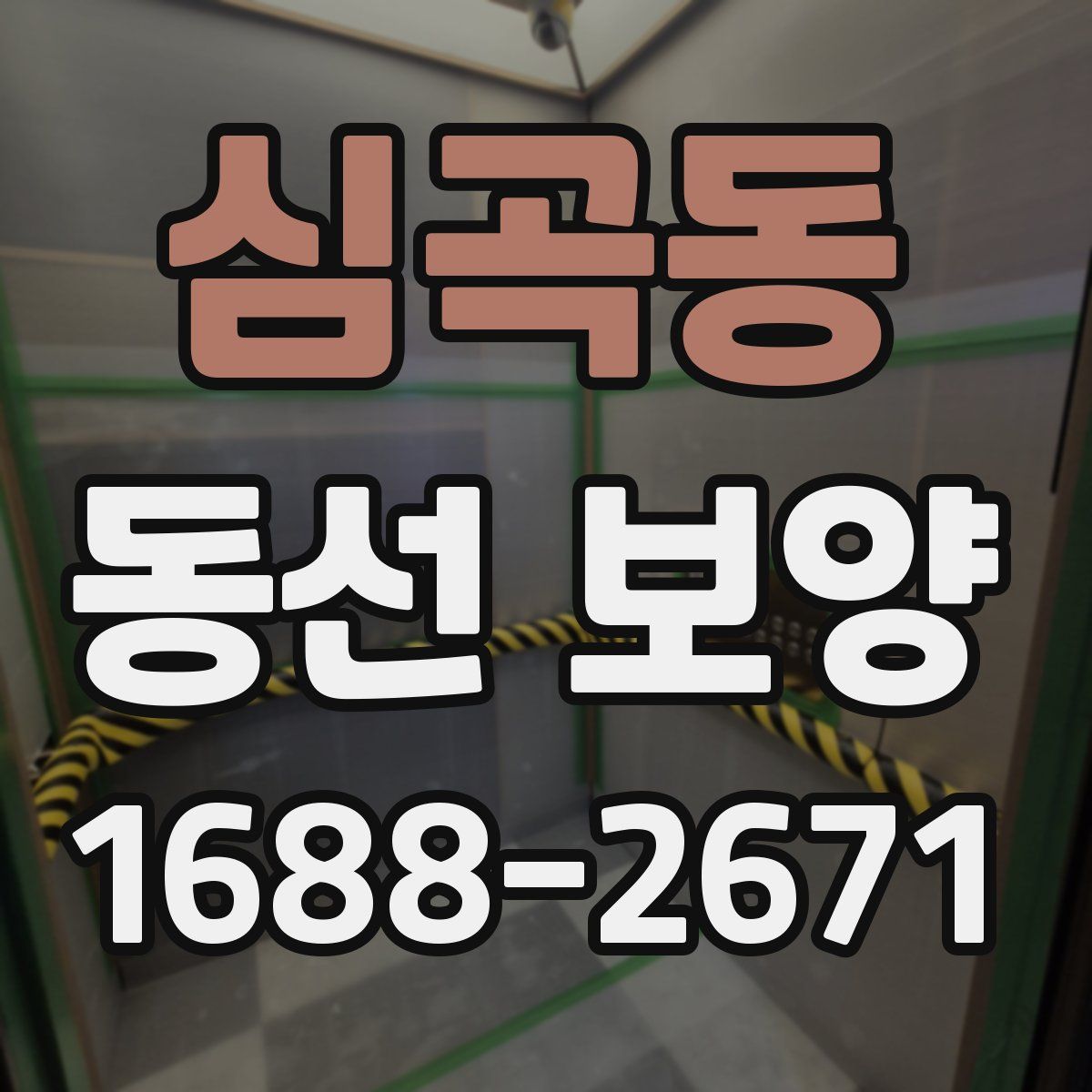 심곡동 동선 보양