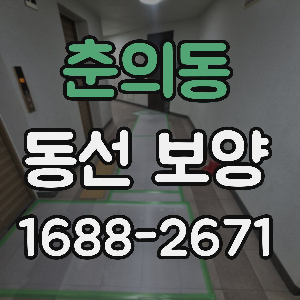 춘의동 동선 보양