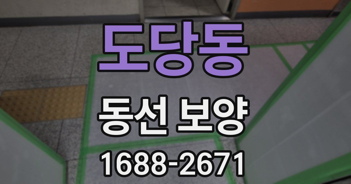 도당동 동선 보양