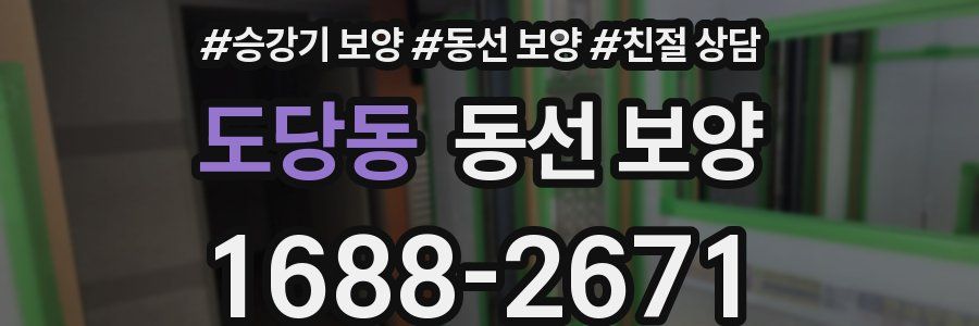 도당동 동선 보양