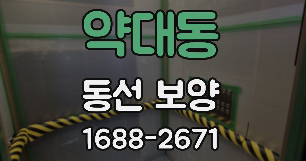 약대동 동선 보양