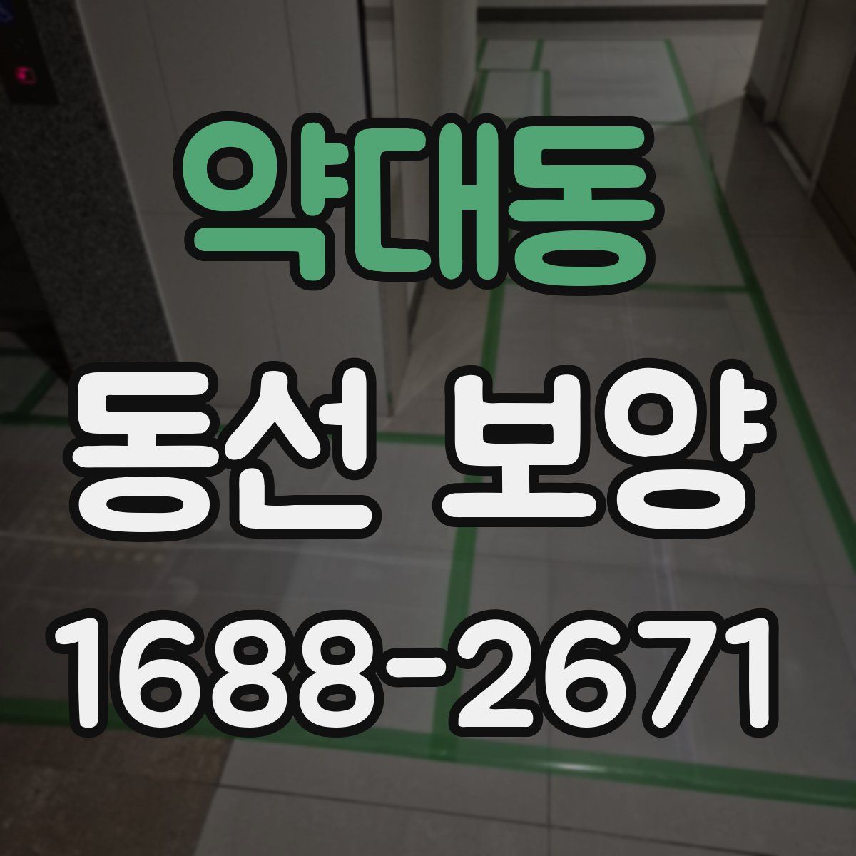약대동 동선 보양