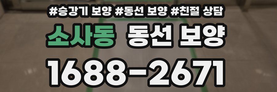 소사동 동선 보양