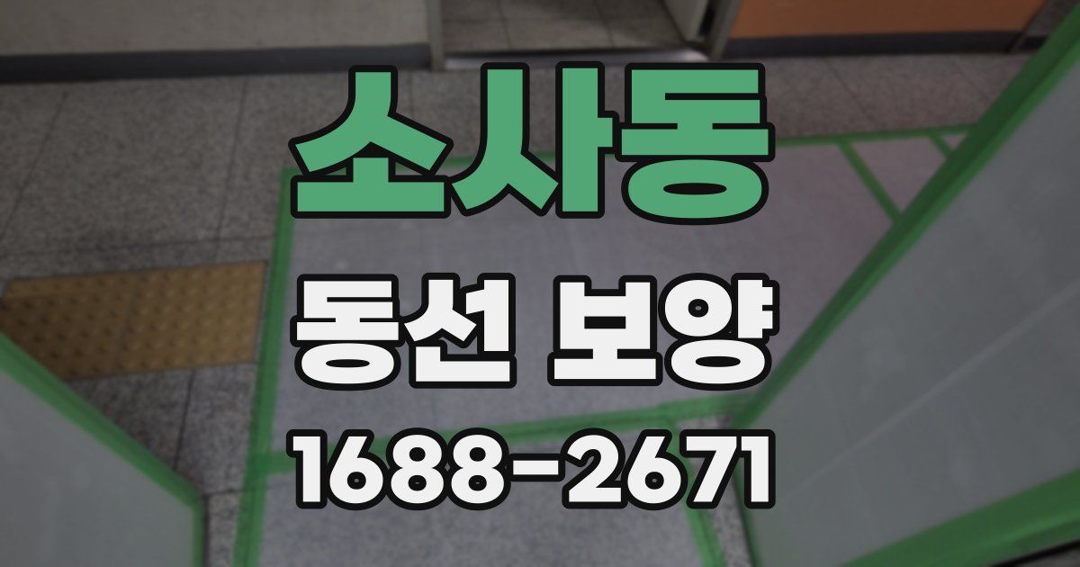 소사동 동선 보양