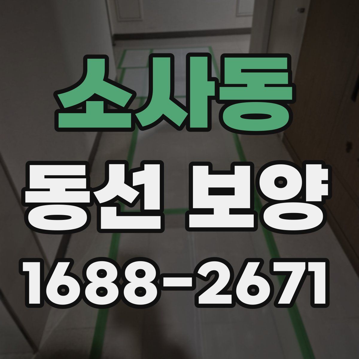 소사동 동선 보양
