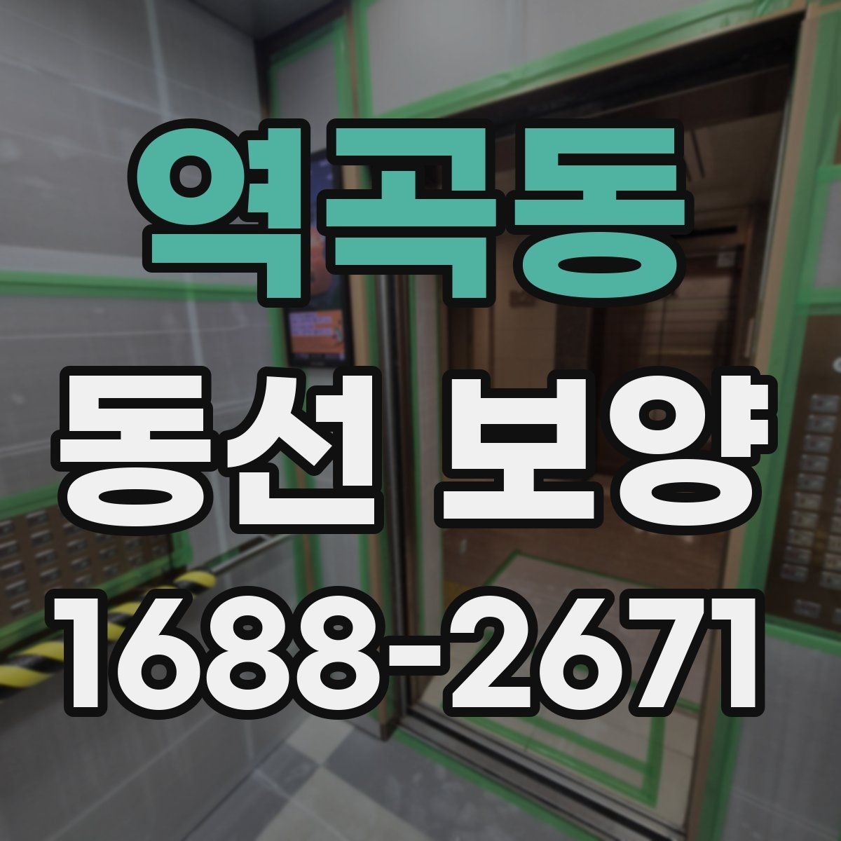 역곡동 동선 보양 과정에서 생길 수 있는 문제와 대응