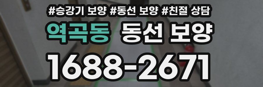 역곡동 동선 보양