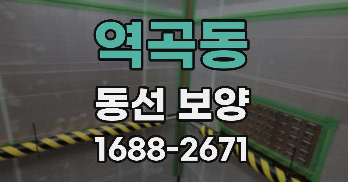 역곡동 동선 보양
