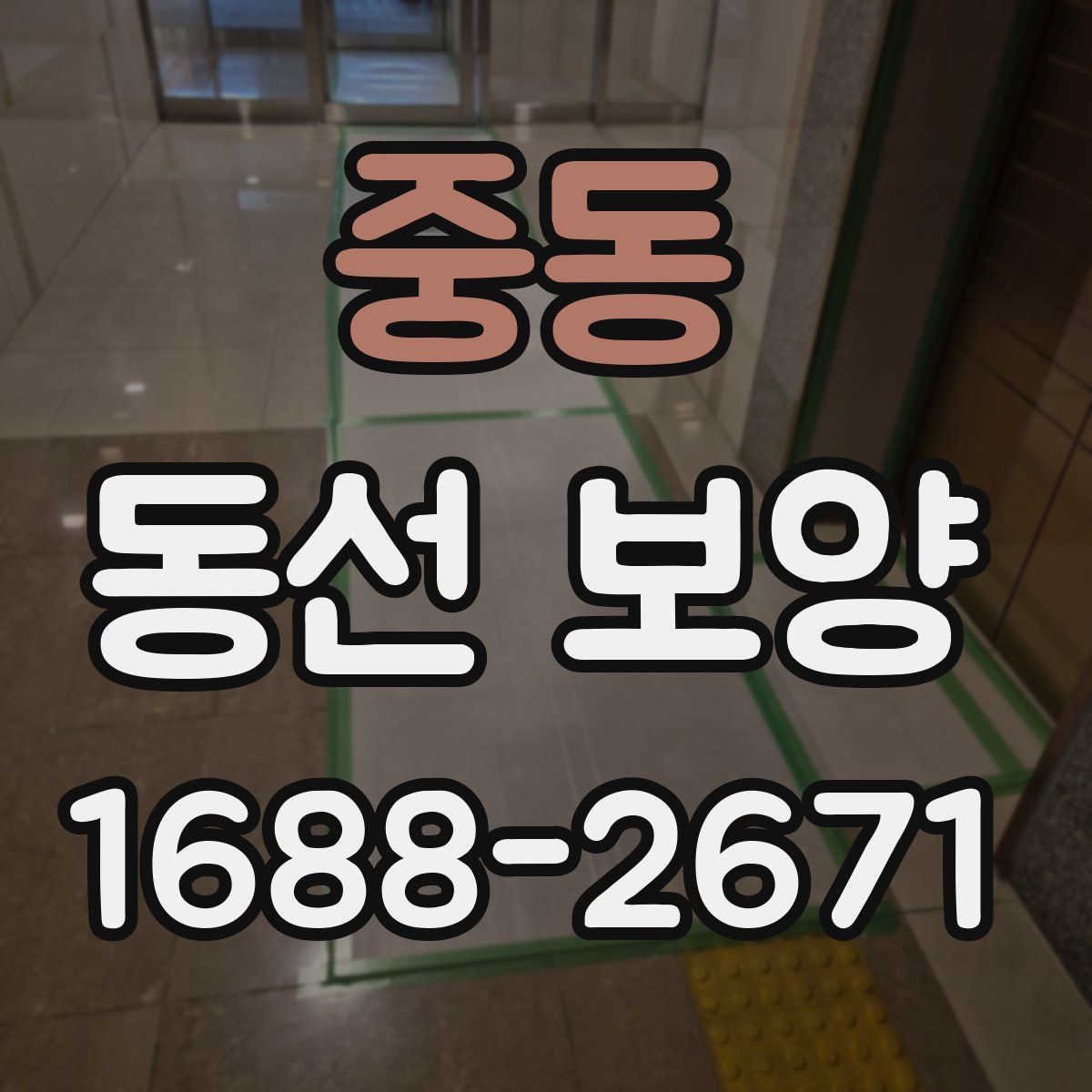 중동 동선 보양