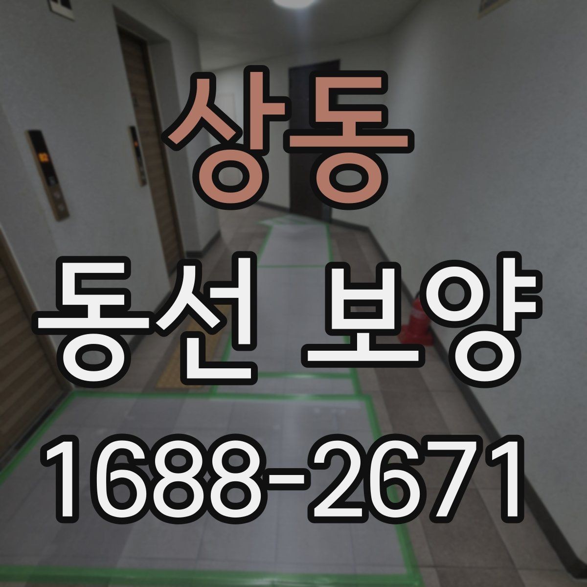 상동 동선 보양 작업 범위를 정할 때 기준이 되는 것