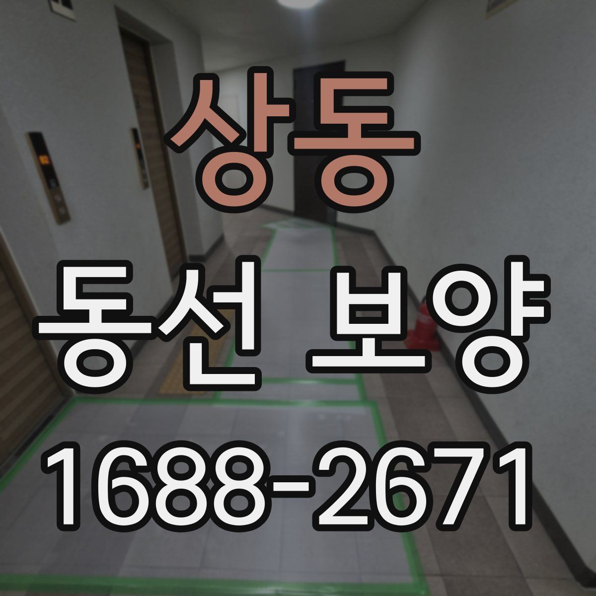 상동 동선 보양