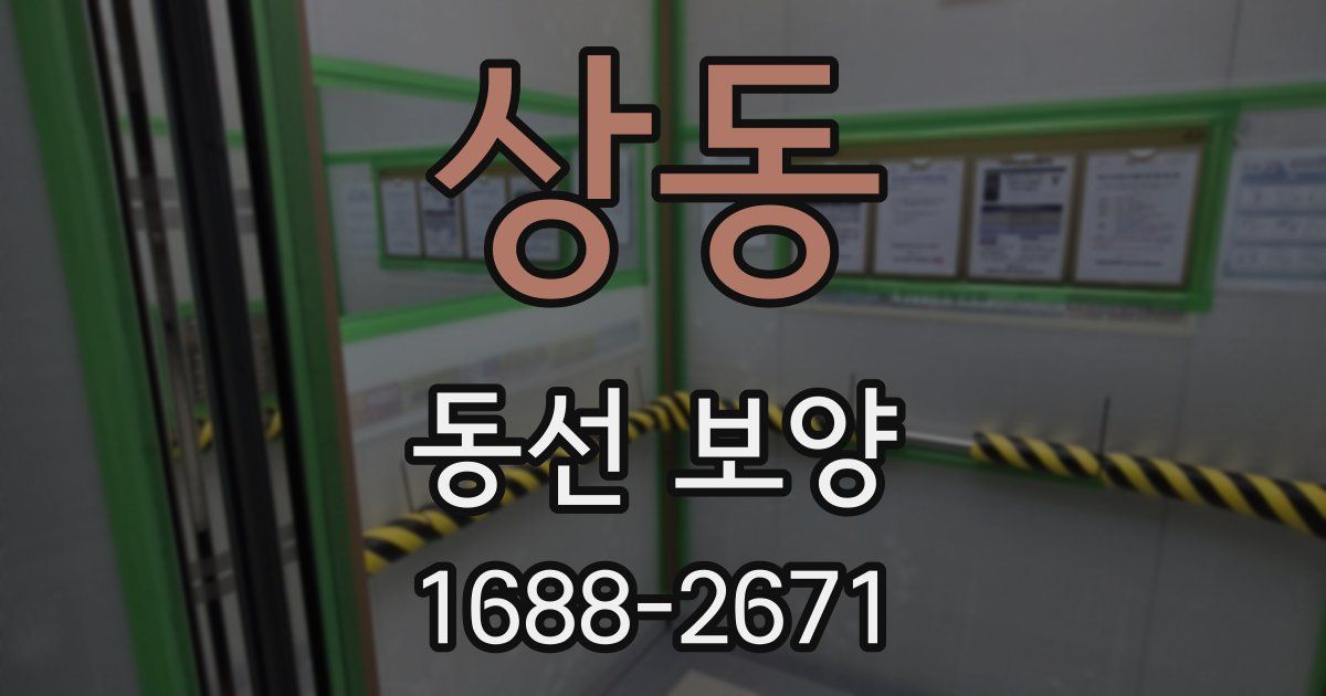 상동 동선 보양