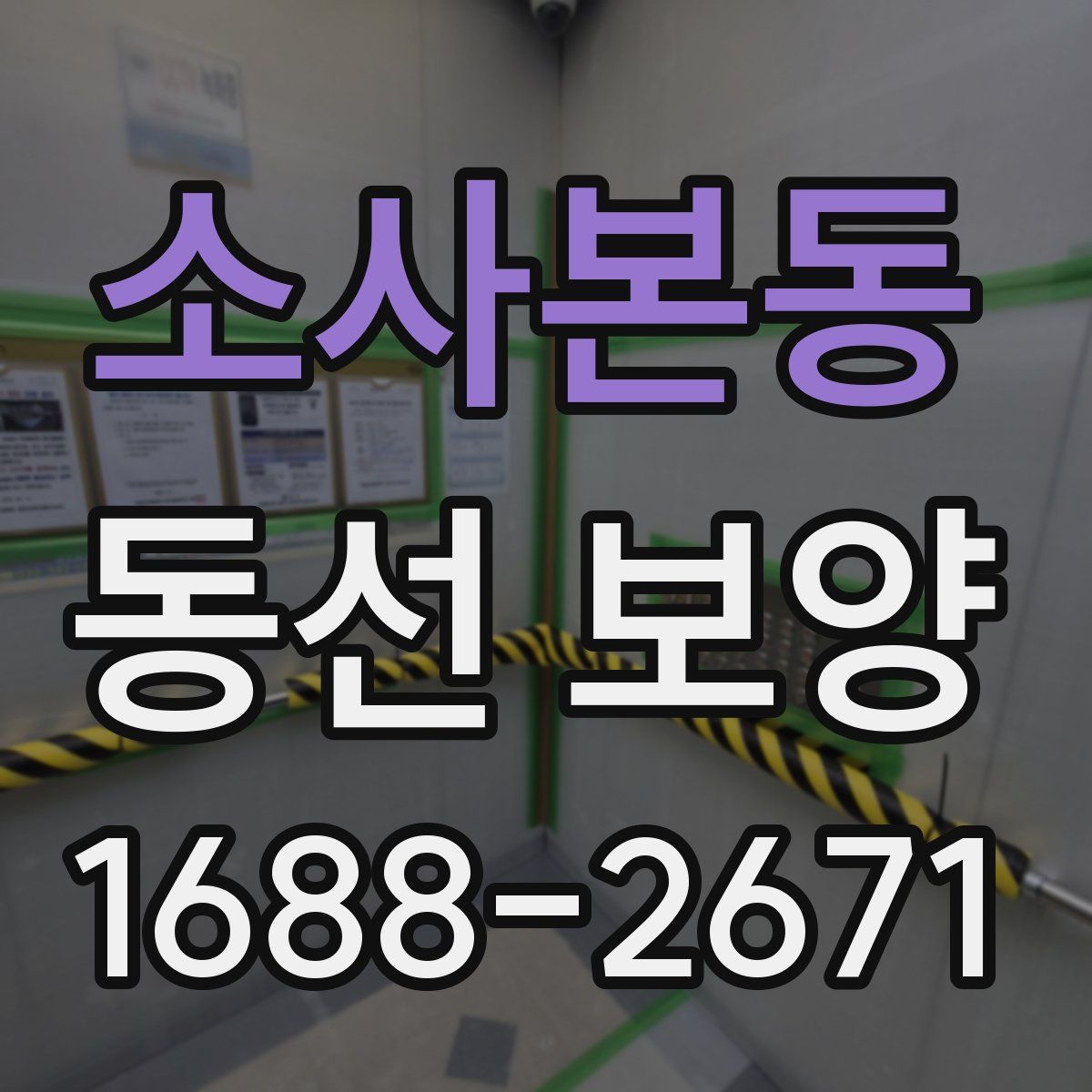 소사본동 동선 보양