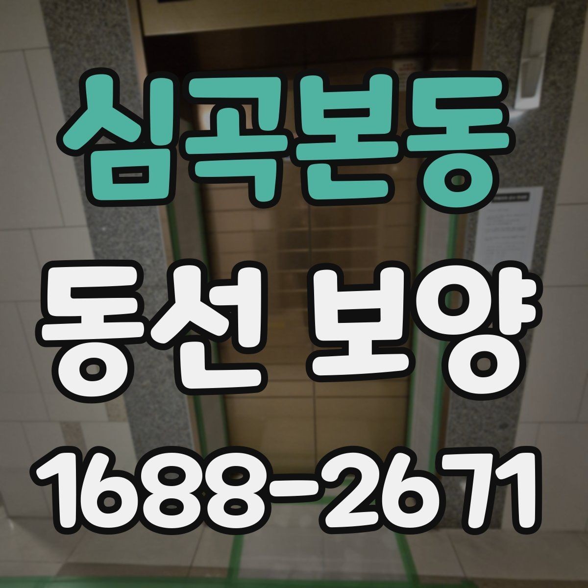 심곡본동 동선 보양 작업을 깔끔하게 마무리하는 법