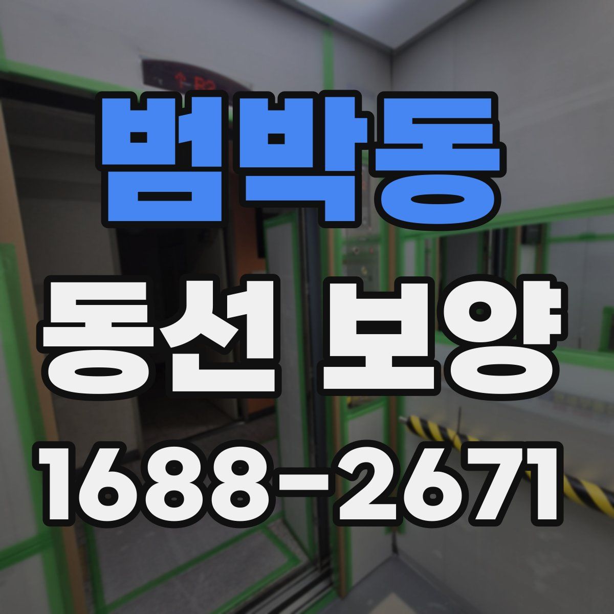 범박동 동선 보양