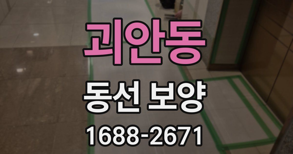 괴안동 동선 보양