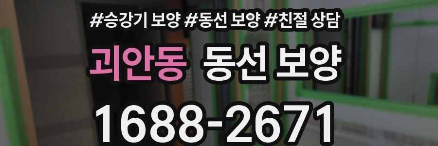 괴안동 동선 보양
