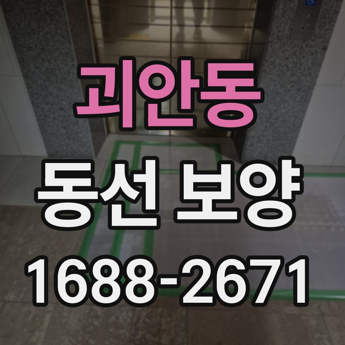 괴안동 동선 보양