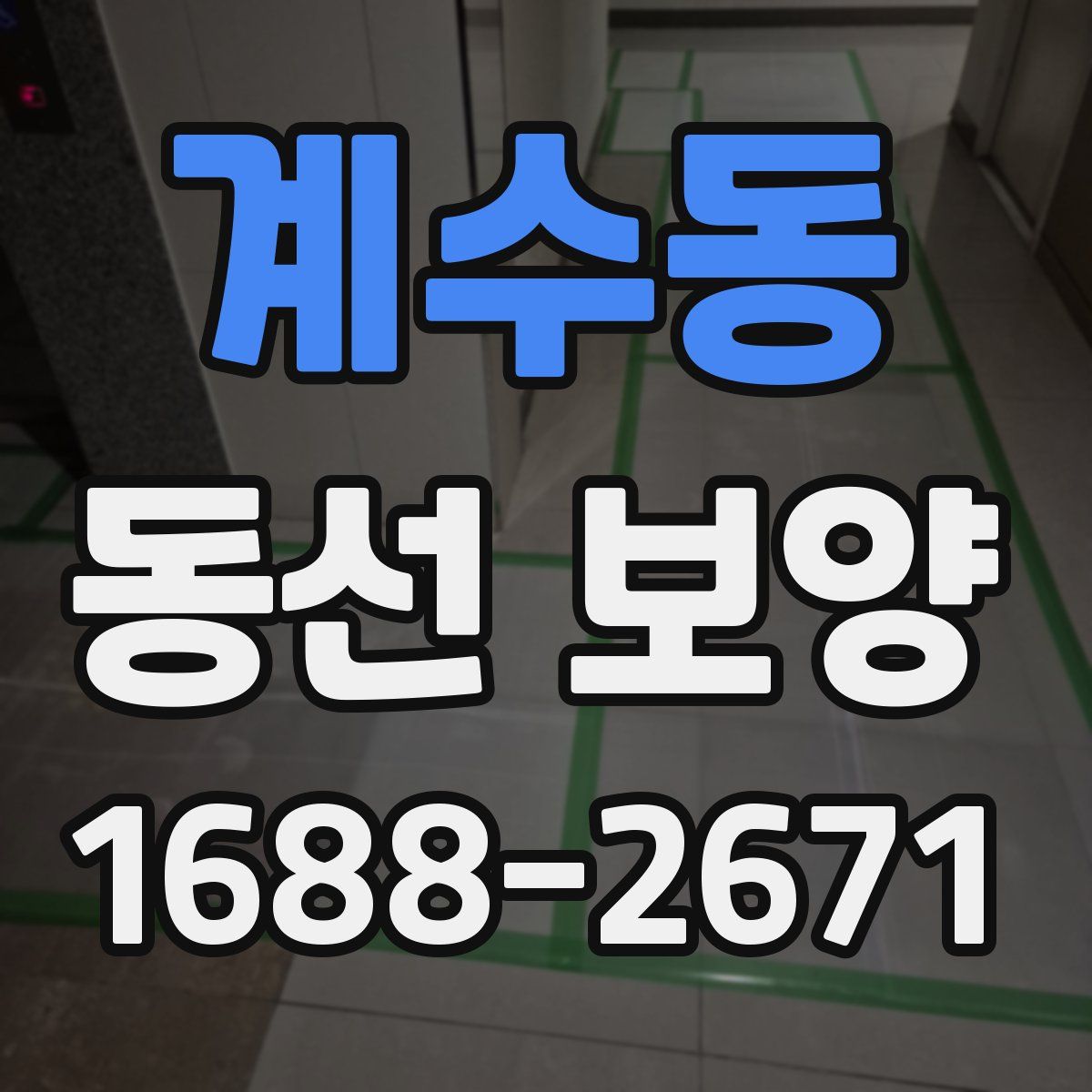 계수동 동선 보양