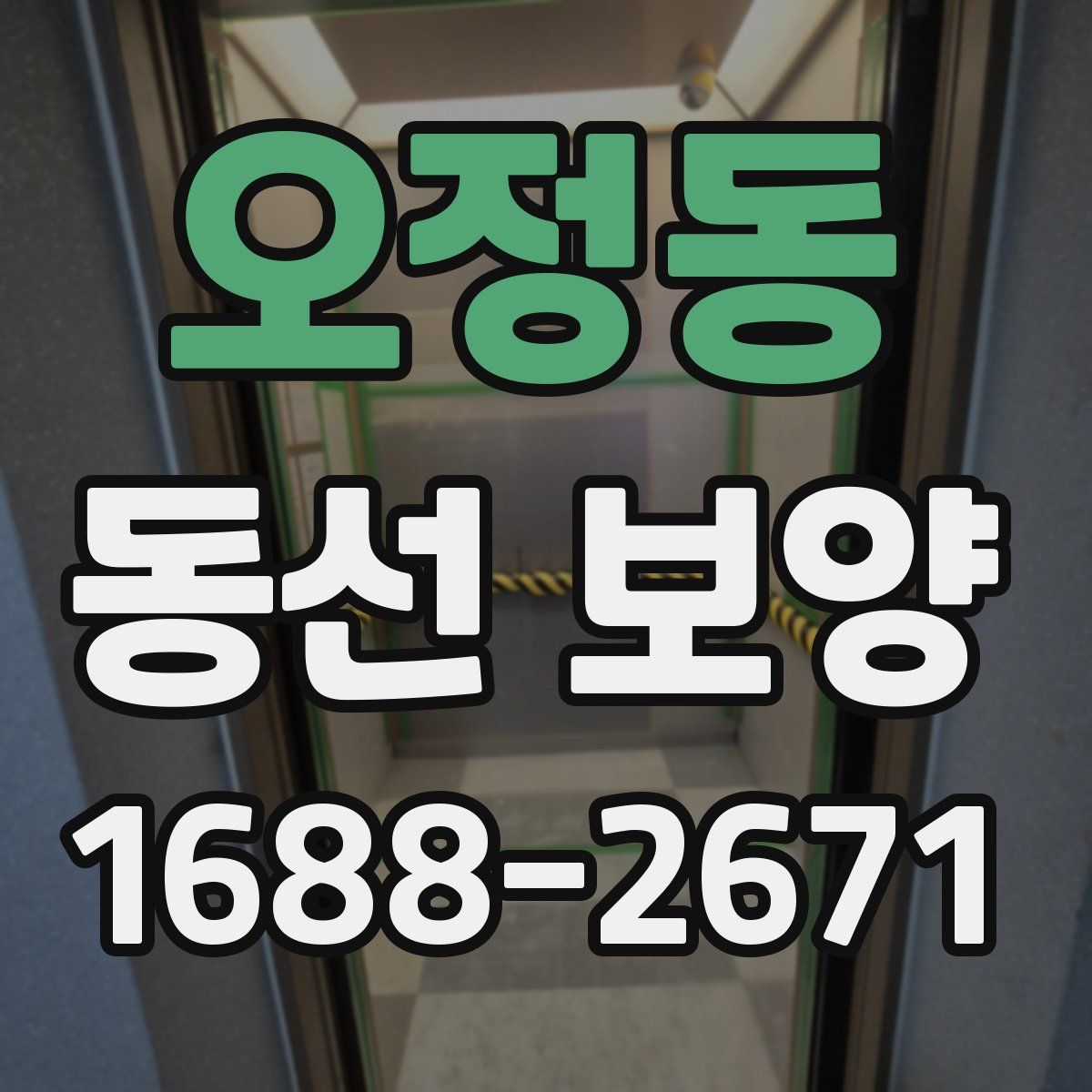 오정동 동선 보양