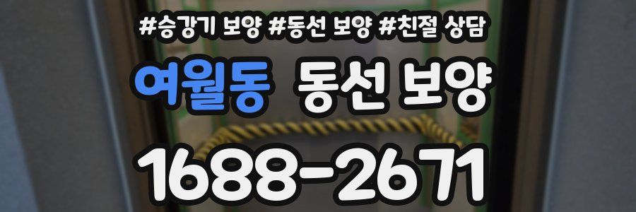 여월동 동선 보양