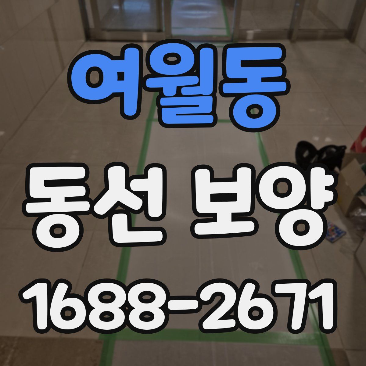 여월동 동선 보양