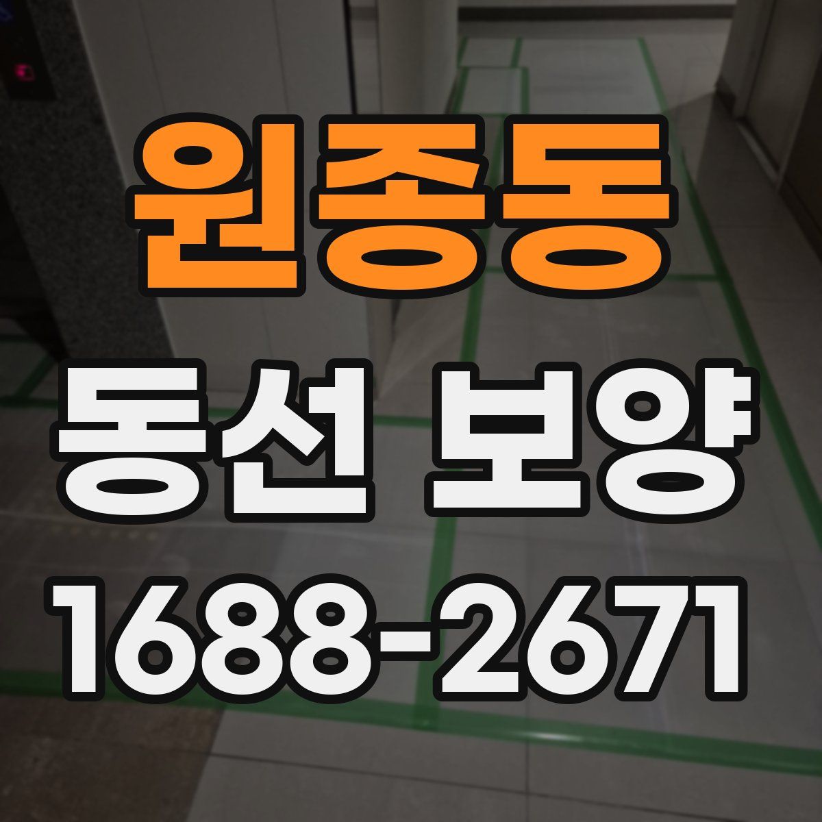원종동 동선 보양