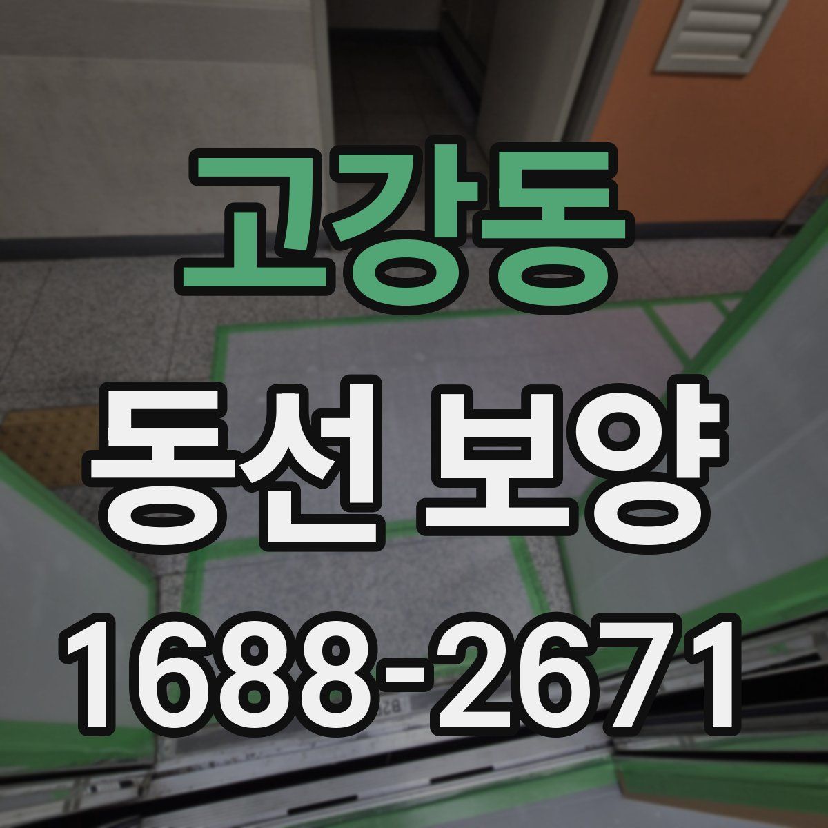 고강동 동선 보양