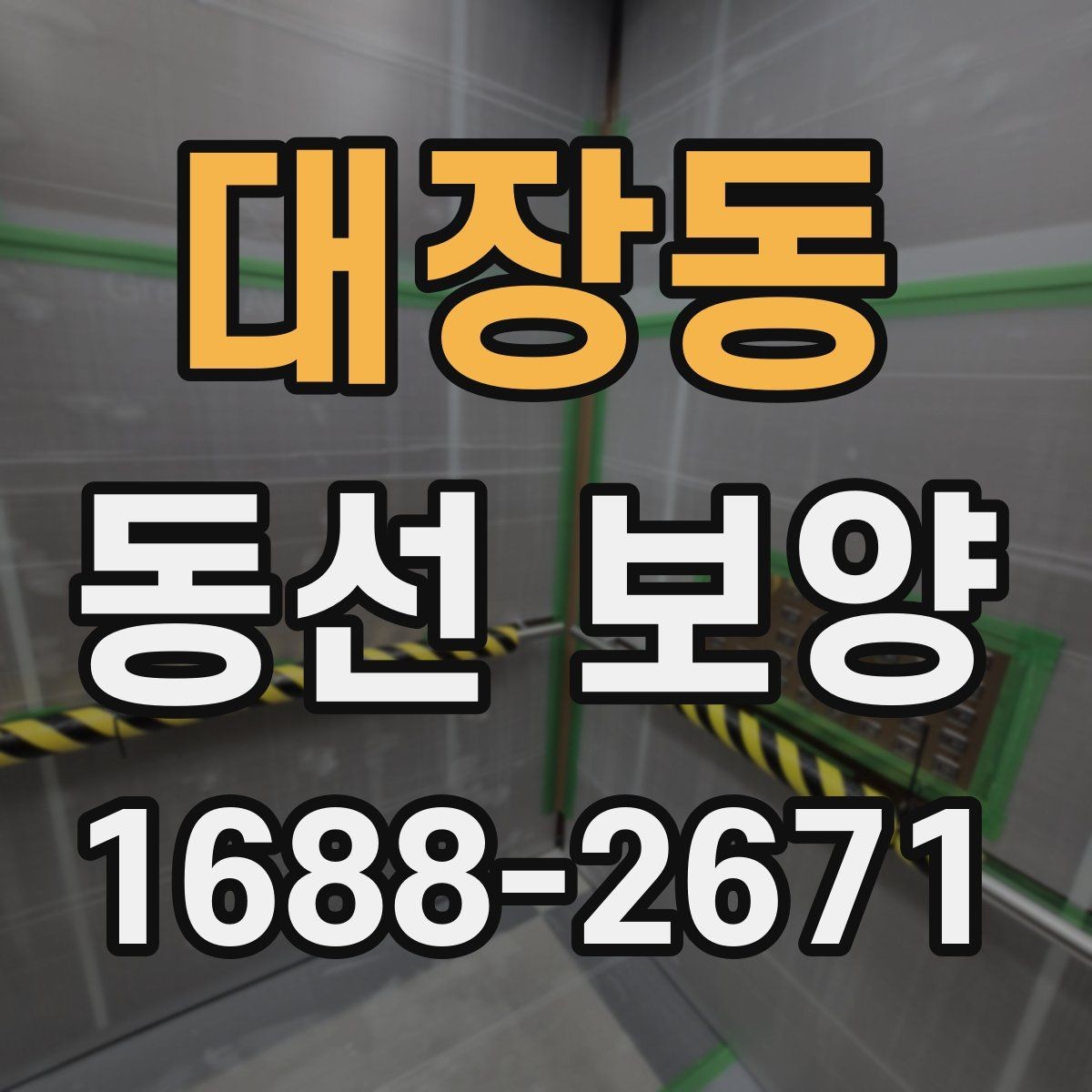 대장동 동선 보양 품질 차이를 만드는 작은 요소들