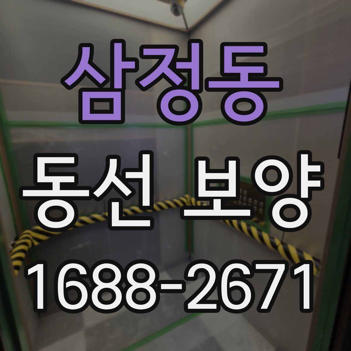 삼정동 동선 보양