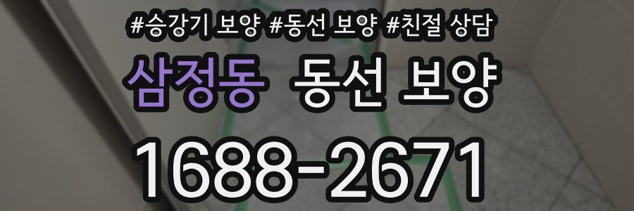 삼정동 동선 보양