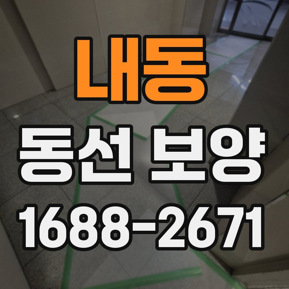내동 동선 보양