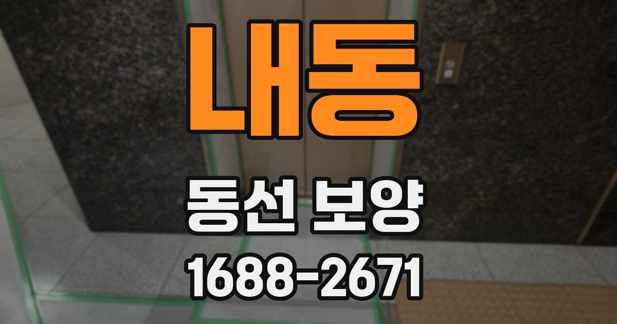 내동 동선 보양