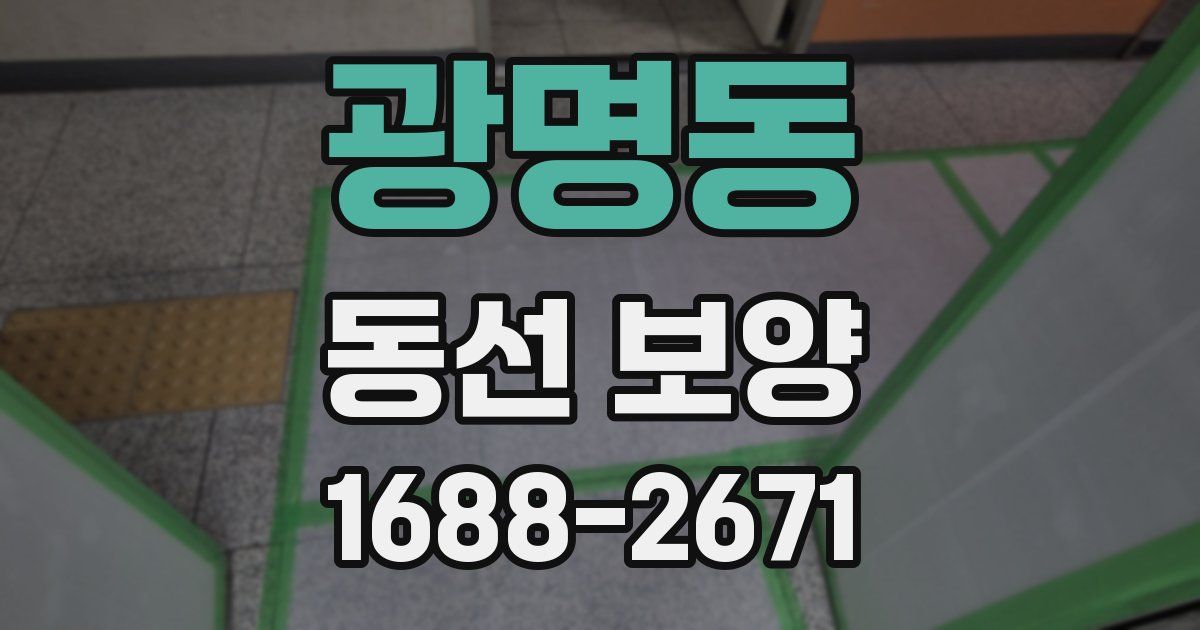 광명동 동선 보양