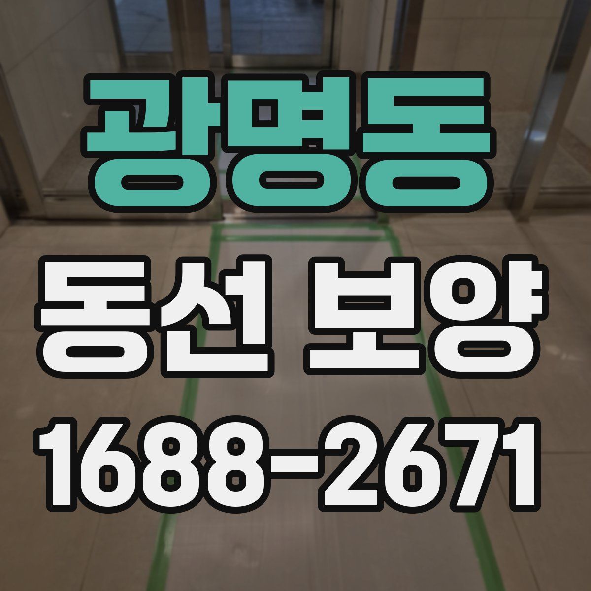 광명동 동선 보양