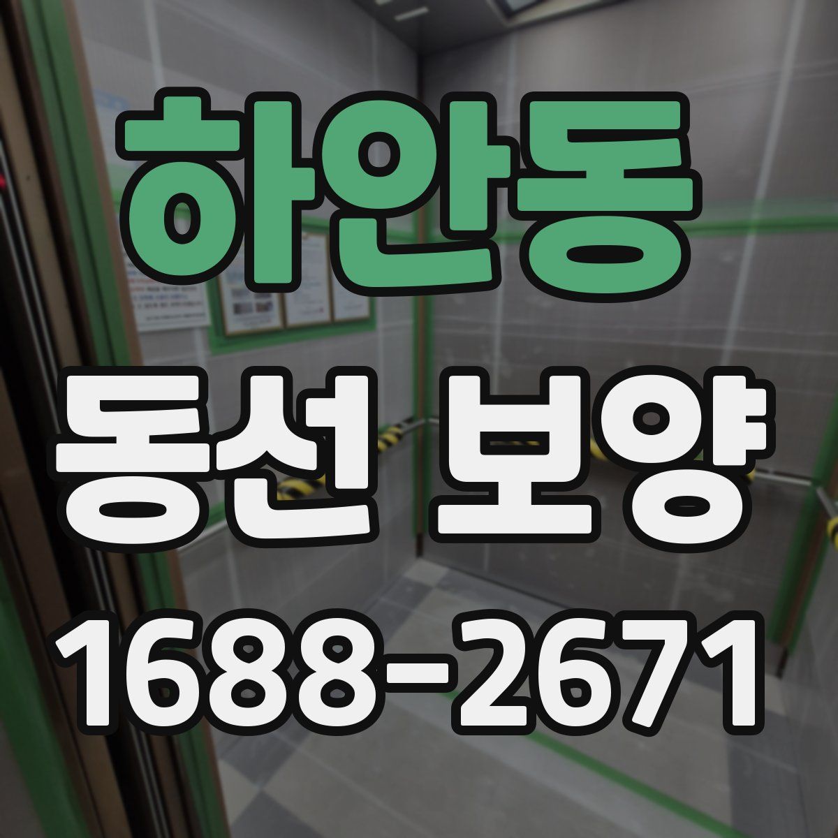 하안동 동선 보양