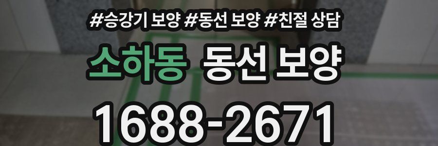 소하동 동선 보양