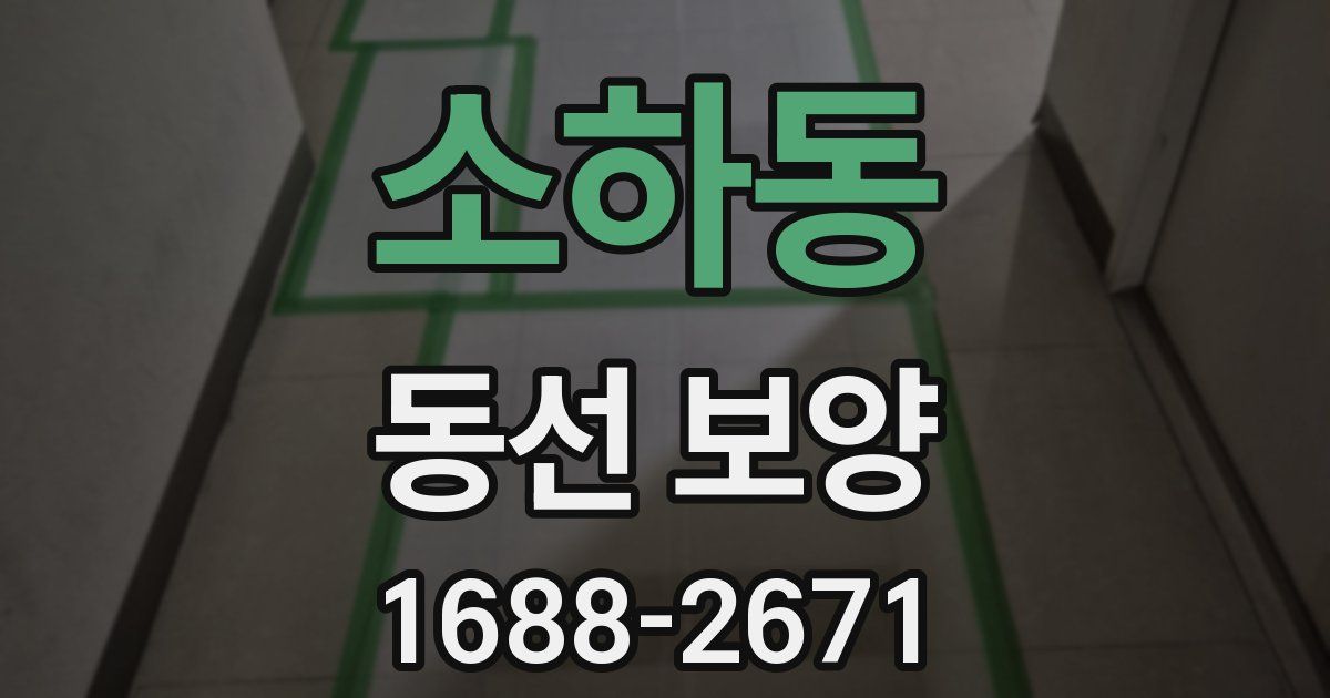 소하동 동선 보양
