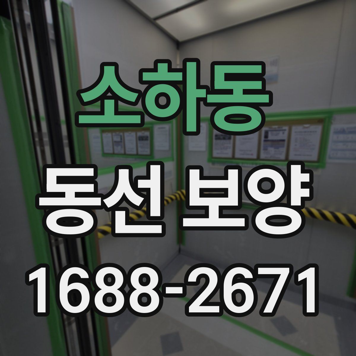 소하동 동선 보양