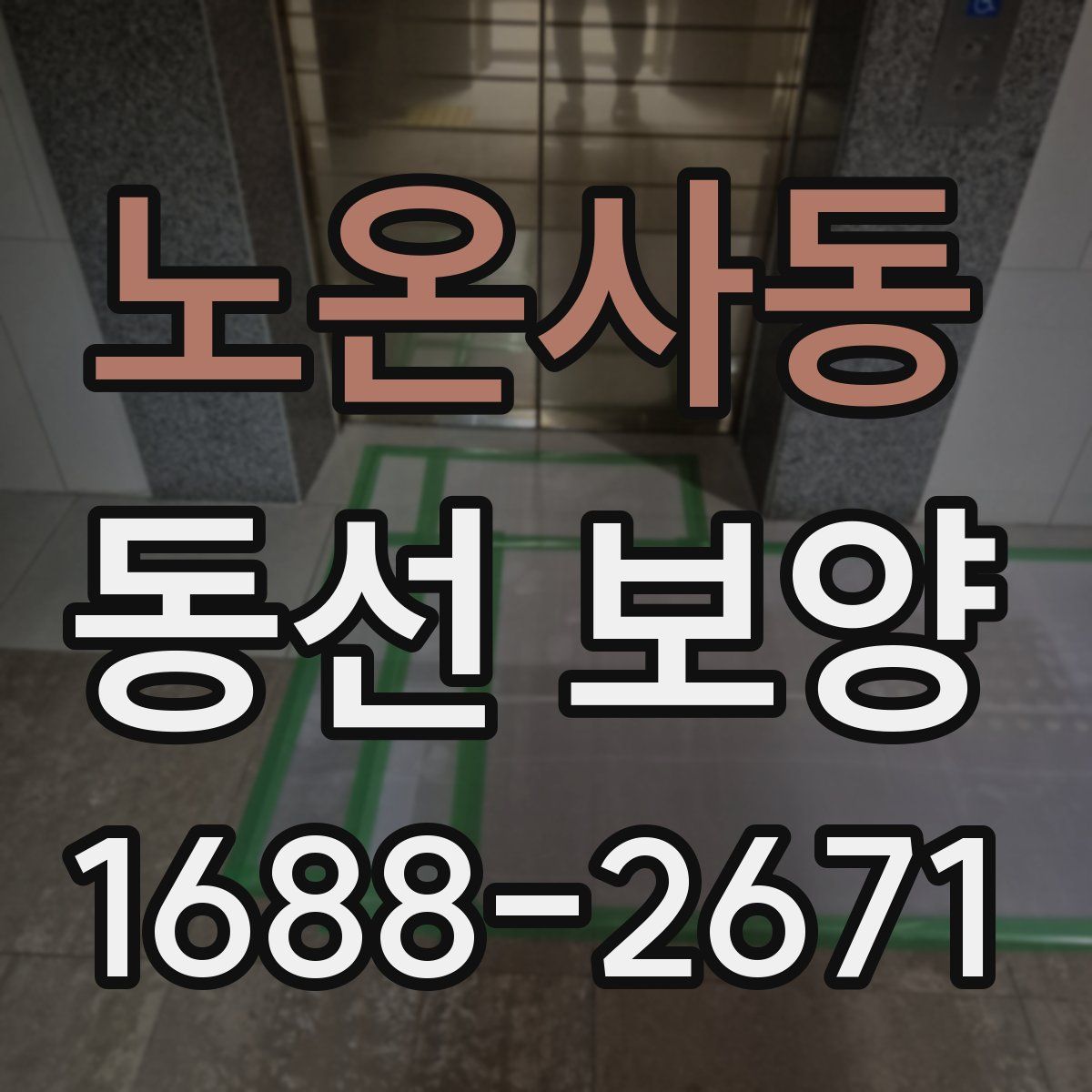 노온사동 동선 보양