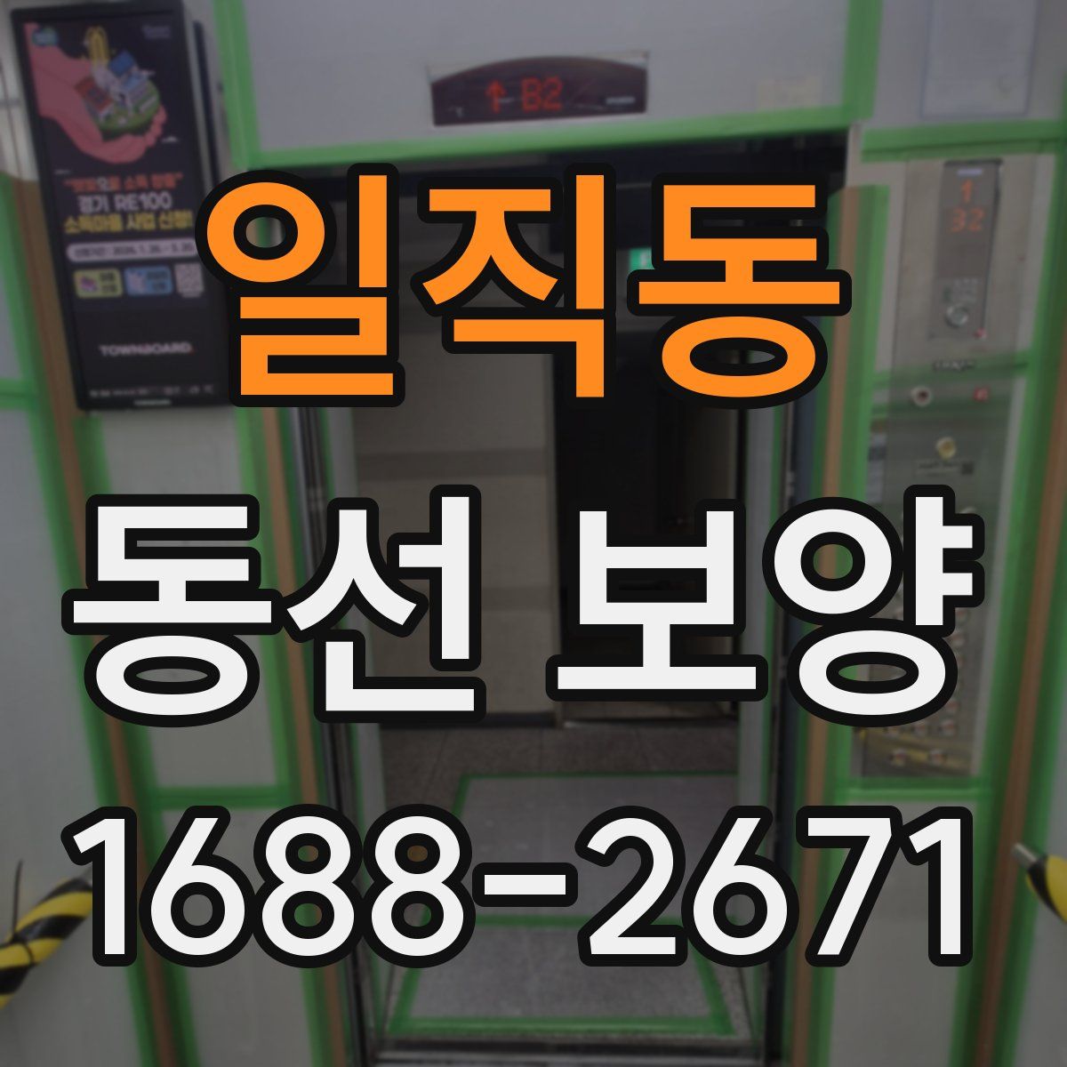 일직동 동선 보양