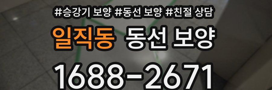 일직동 동선 보양
