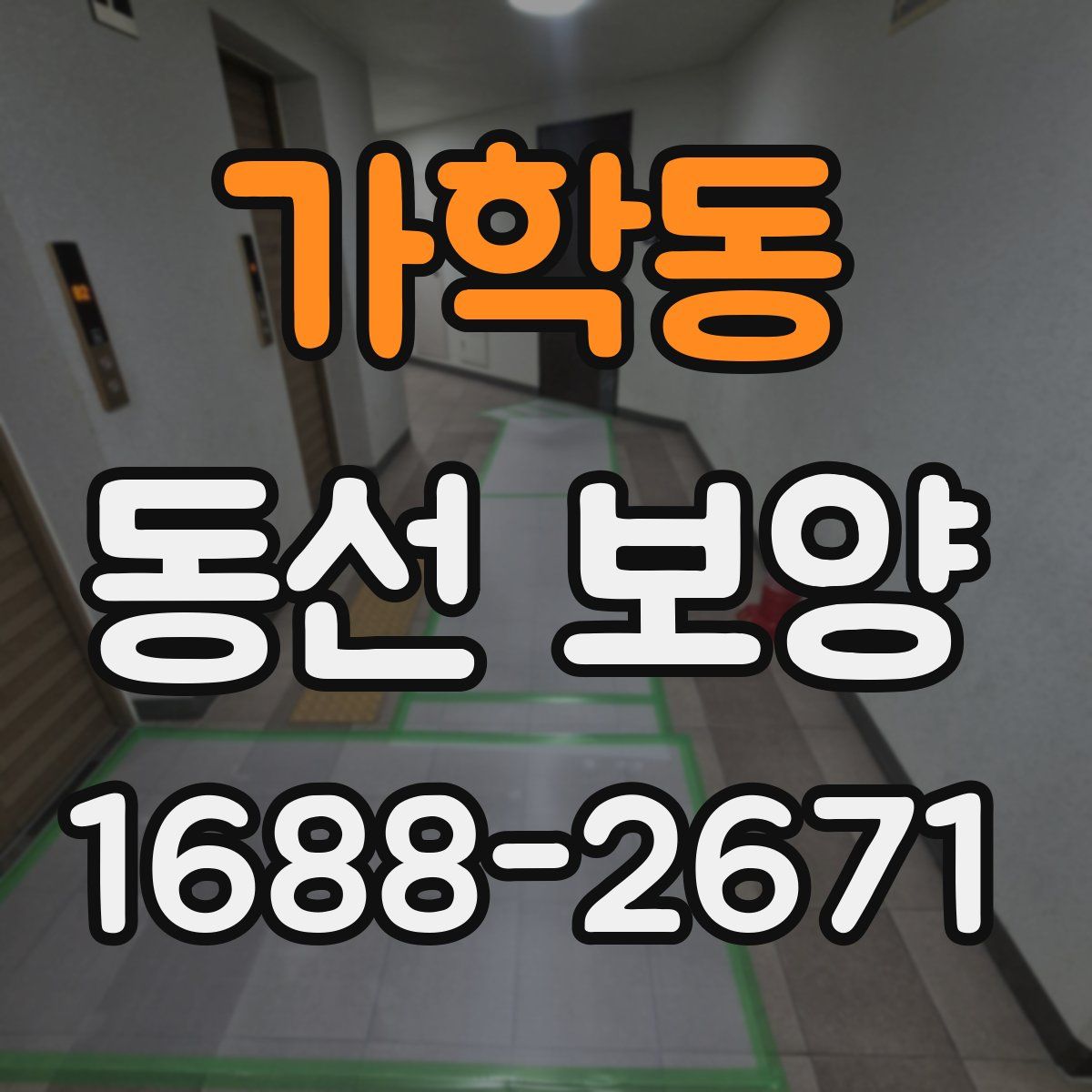 가학동 동선 보양