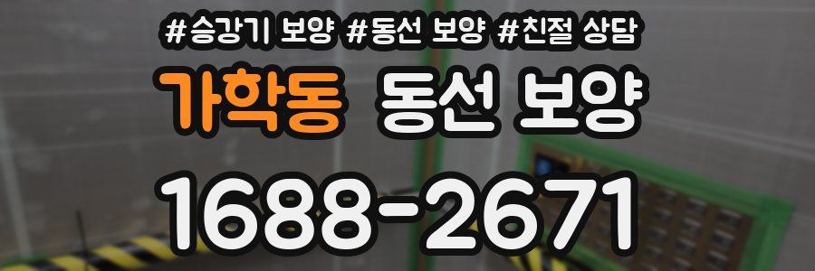 가학동 동선 보양