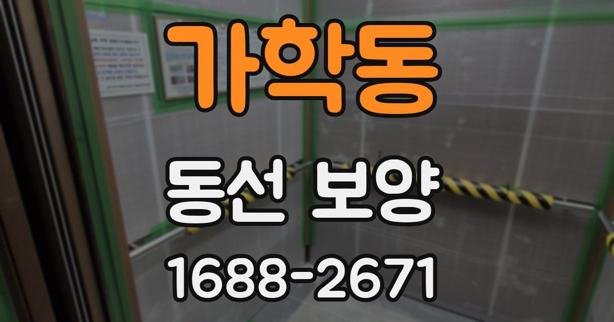 가학동 동선 보양