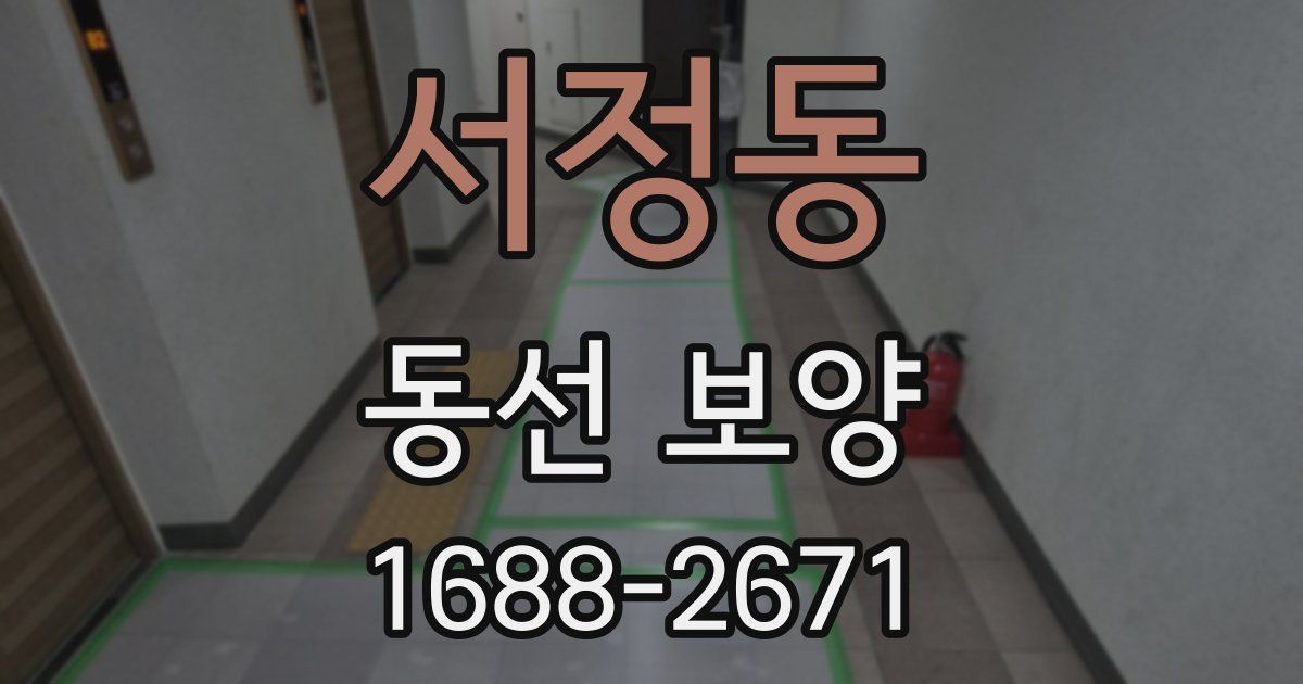 서정동 동선 보양