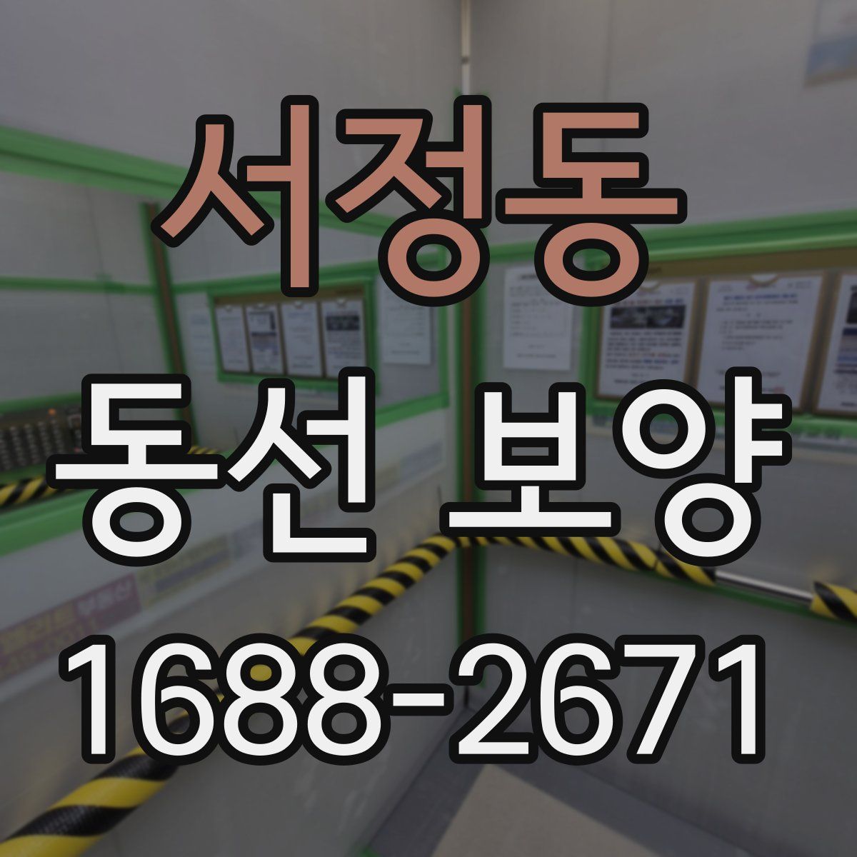 서정동 동선 보양