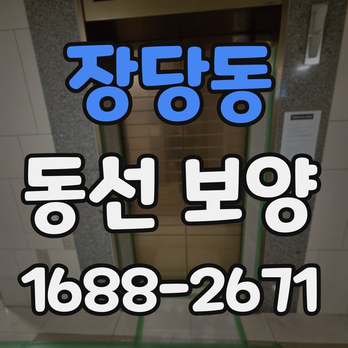 장당동 동선 보양 자재별 특징과 활용 방법