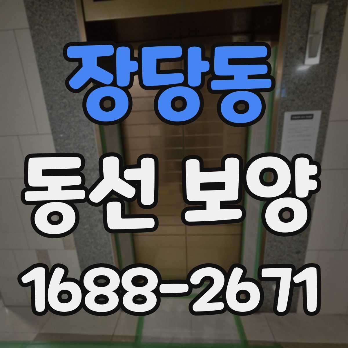 장당동 동선 보양